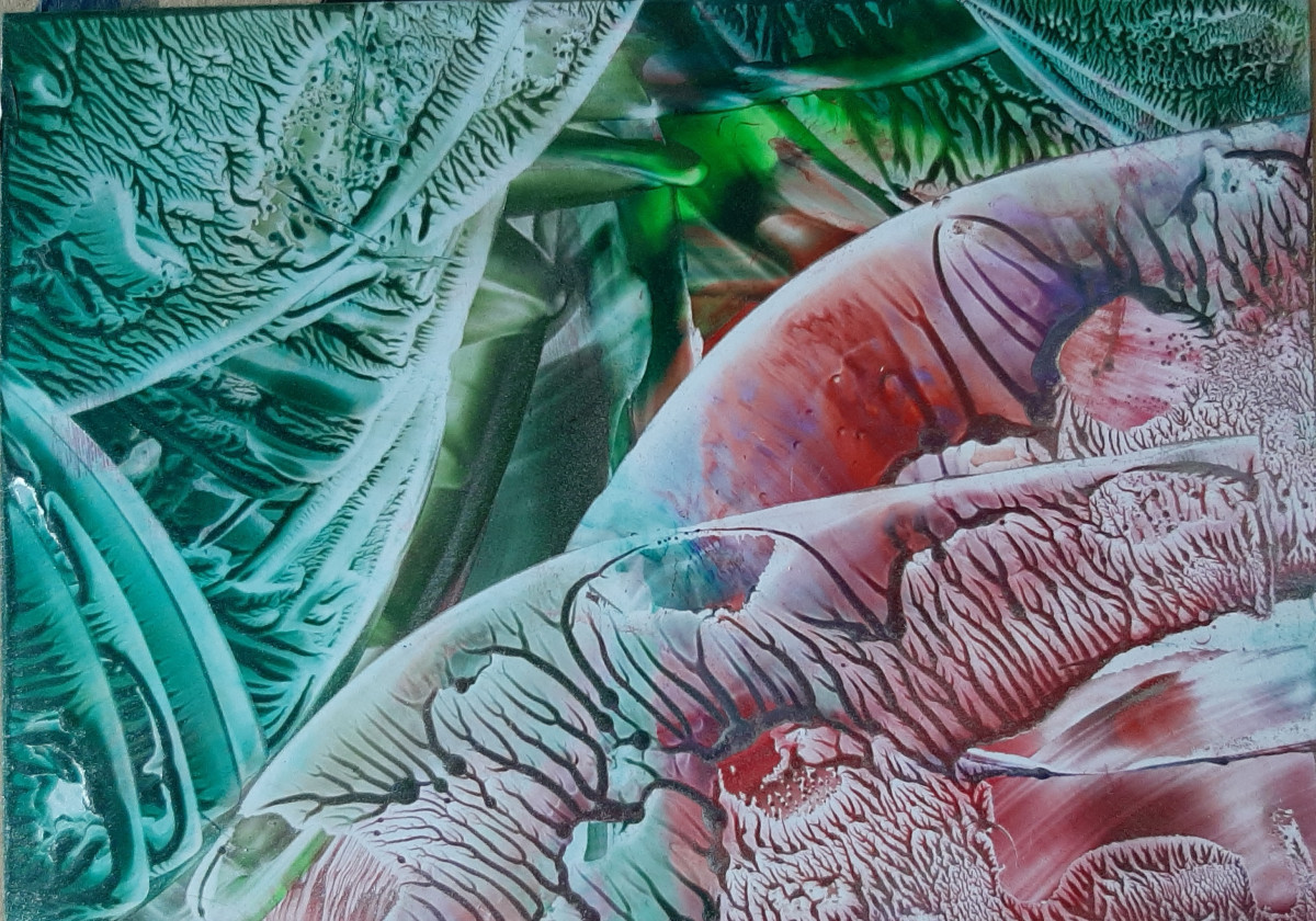 photo - Barbara Kregting