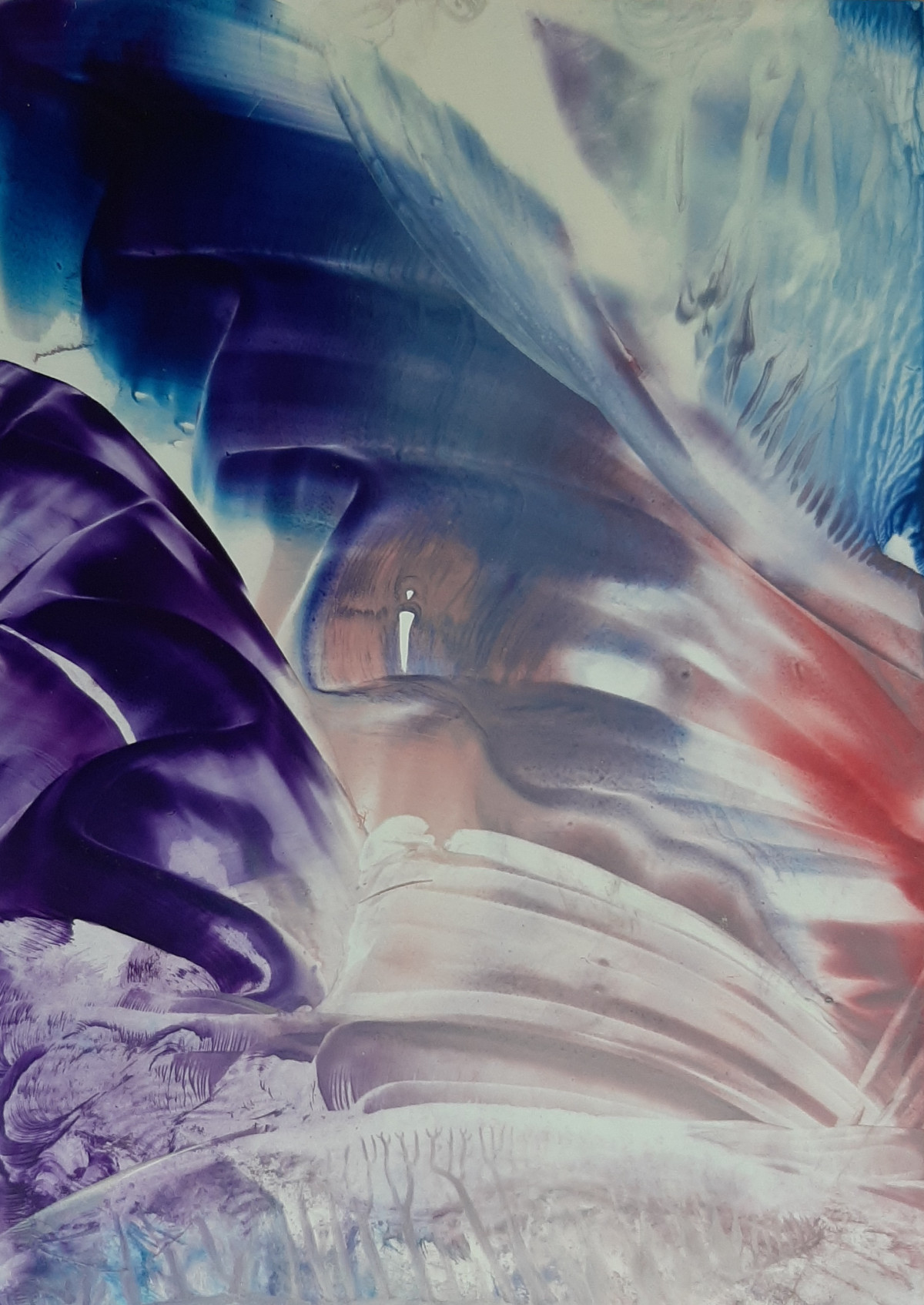 photo - Barbara Kregting